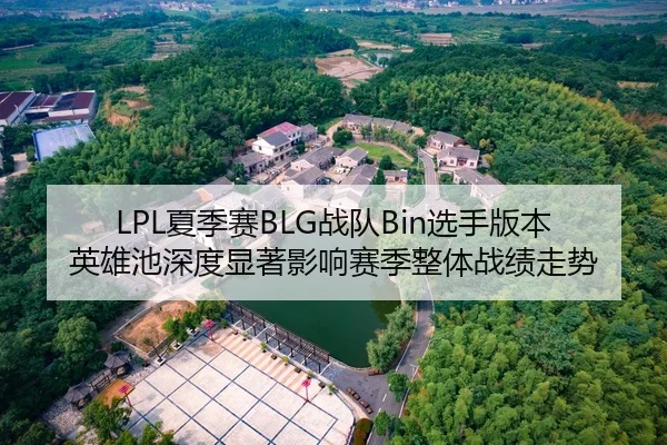 LPL夏季赛BLG战队Bin选手版本英雄池深度显著影响赛季整体战绩走势