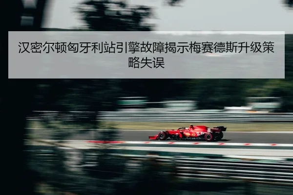 han-mi-er-dun-xiong-ya-li-zhan-yin-qing-gu-zhang-jie-shi-mei-sai-de-si-sheng-ji-ce-lve-shi-wu-2-757.jpg