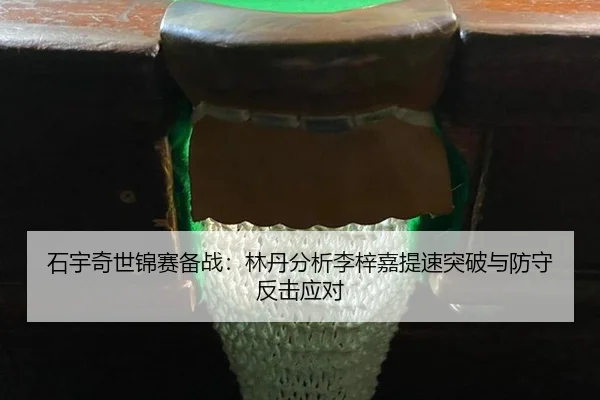 石宇奇世锦赛备战：林丹分析李梓嘉提速突破与防守反击应对